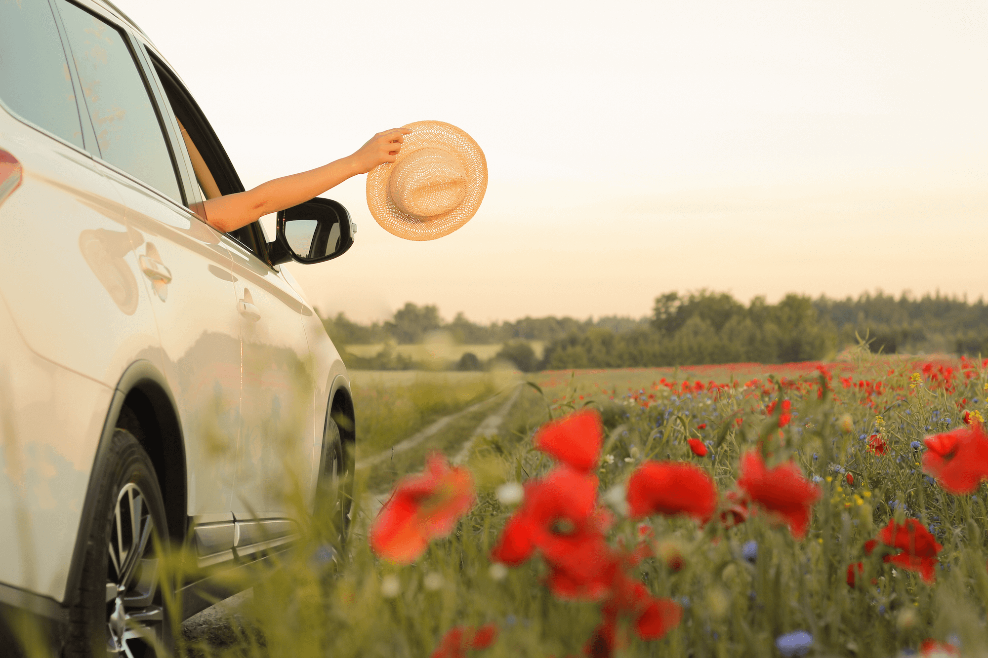 5 produtos essenciais para a manutenção do seu carro na primavera